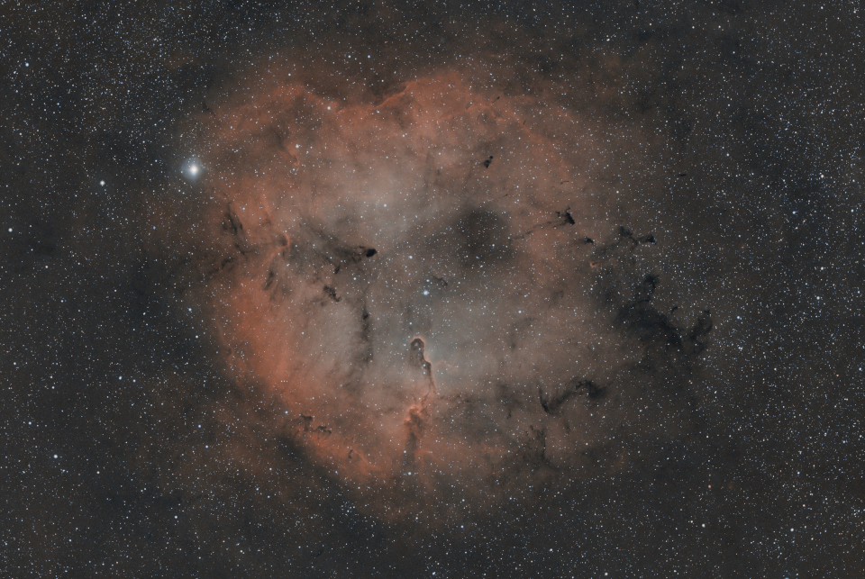 Nébuleuse de la trompe d'éléphant