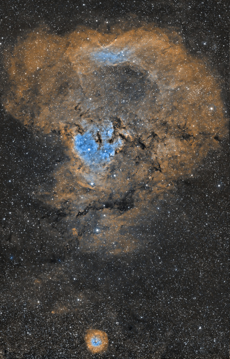 Nébuleuse de la trompe d'éléphant